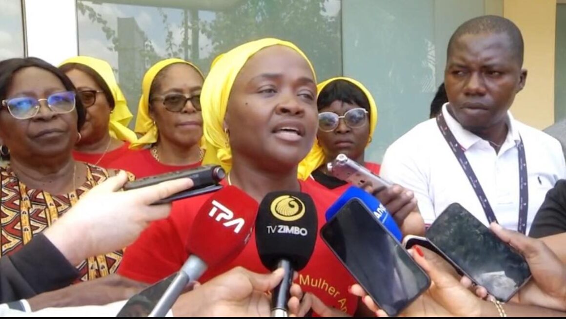 Engenheira da Sonangol apresenta candidatura à Secretaria-Geral da OMA