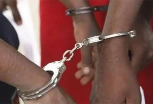 Detidos no Huambo cinco cidadãos por abate e venda de carne de hipopótamo