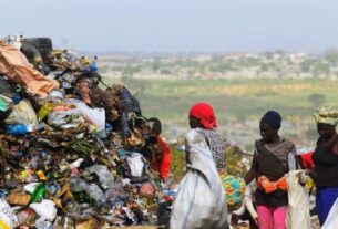 Quase 1,1 milhões de famílias angolanas sofrem de fome severa