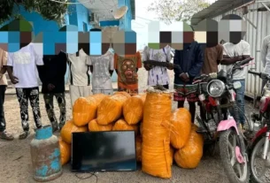 Detidos 11 cidadãos por transportar 375 quilogramas de liamba no ambriz